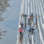 FOTO 29 Okt_Pengembangan modeling budi daya ikan. (dok. kkp)