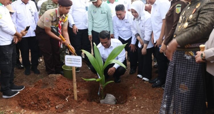 FOTO 16 Nov_Menteri Pertanian (Mentan) Andi Amran Sulaiman meluncurkan Gerakan Menanam Lima Juta Pohon Kelapa (Gemerlap)