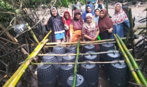 FOTO 19 Nov_Inovasi teknologi para penyuluh untuk mendorong peningkatan produktivitas sektor kelautan dan perikanan. (dok. kkp)