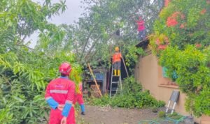 FOTO 2 Nov_Kerusakan rumah warga usai angin kencang yang melanda Kabupaten Sleman, Provinsi Daerah Istimewa Yogyakarta. bpbdkabupaten