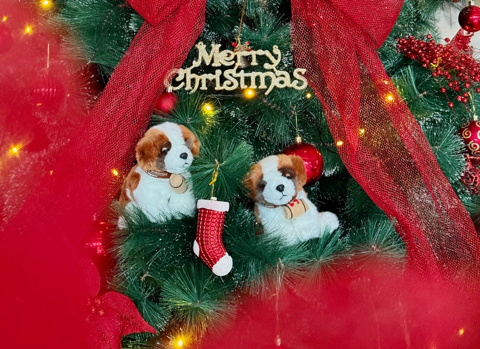 FOTO 29 Nov_Swiss-Belinn Modern Cikande bersiap menjelang libur Natal 2025. 2