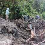 FOTO 3 Nov_Petugas dibantu warga melakukan pencarian korban hilang akibat banjir di Kabupaten Nduga, Papua Pegununga.