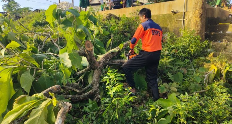 FOTO 4 Nov_Kerusakan rumah dan pohon tumbang akibat cuaca ekstrem yang melanda Kabupaten Pamekasan, Jawa Timur.