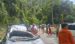 FOTO 5 Nov_Pohon tumbang yang menimpa mobil usai angin kencang di Kabupaten Parigi Moutong, Provinsi Sulawesi Tengah.