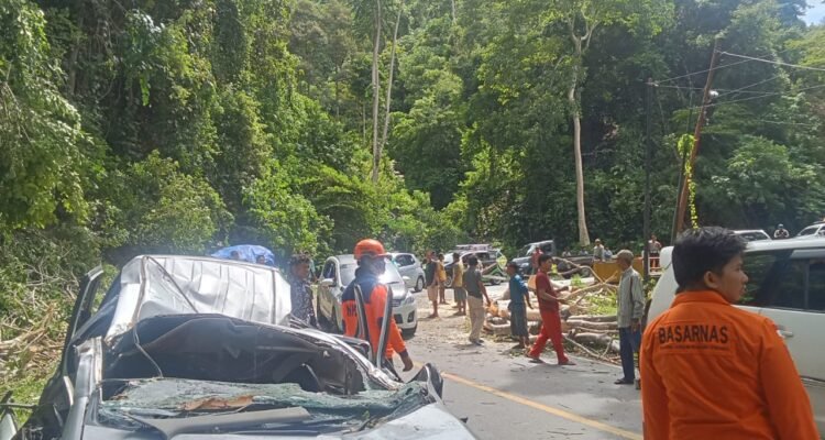 FOTO 5 Nov_Pohon tumbang yang menimpa mobil usai angin kencang di Kabupaten Parigi Moutong, Provinsi Sulawesi Tengah.