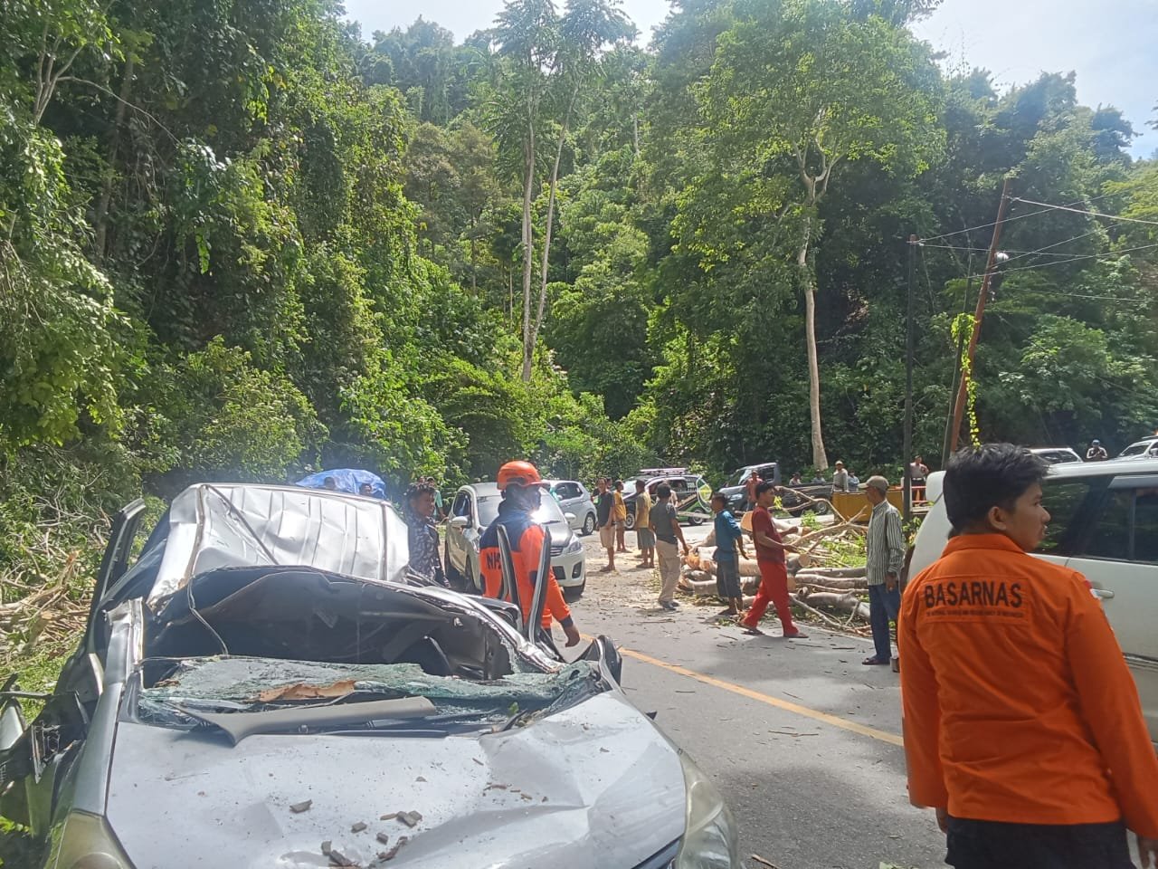 FOTO 5 Nov_Pohon tumbang yang menimpa mobil usai angin kencang di Kabupaten Parigi Moutong, Provinsi Sulawesi Tengah.