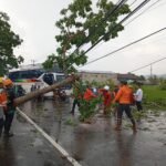 FOTO 7 Nov_BPBD Kabupaten Ciamis melakukan penanganan dan pembersihan secara gotong royong setelah hujan disertai angin kencang