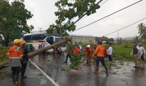 FOTO 7 Nov_BPBD Kabupaten Ciamis melakukan penanganan dan pembersihan secara gotong royong setelah hujan disertai angin kencang