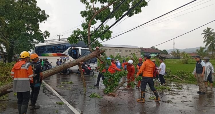 FOTO 7 Nov_BPBD Kabupaten Ciamis melakukan penanganan dan pembersihan secara gotong royong setelah hujan disertai angin kencang
