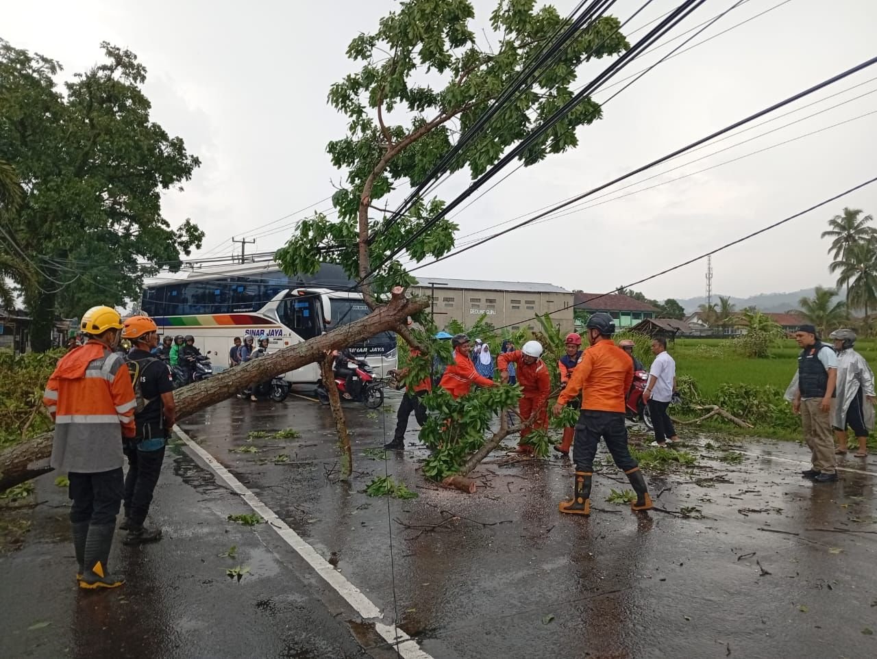 FOTO 7 Nov_BPBD Kabupaten Ciamis melakukan penanganan dan pembersihan secara gotong royong setelah hujan disertai angin kencang