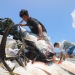 FOTO 14 Des_Posisi Indonesia dalam tata kelola perikanan regional, khususnya perikanan tuna di Pasifik Barat dan Tengah. dok. kkp