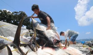 FOTO 14 Des_Posisi Indonesia dalam tata kelola perikanan regional, khususnya perikanan tuna di Pasifik Barat dan Tengah. dok. kkp