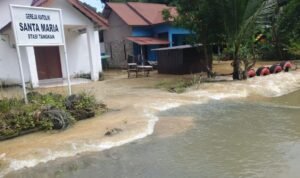 FOTO 16 Des_Lokasi terdampak banjir di wilayah Kabupaten Barito Timur, Kalimantan Tengah. (dok. bpbdkabupatenbaritotimur)