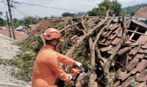 FOTO 2 Des_Personel BPBD Kabupaten Bogor membersihkan material pohon yang terdampak angin kencang di wilayah Kabupaten Bogor, Jawa Barat.