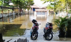 FOTO 22 Des_Banjir yang merendam pemukiman warga di Kabupatem Hulu Sungai Utara,