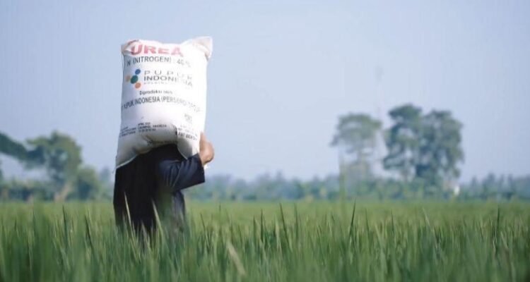 FOTO 1 Jan_Seorang petani tengah membawa pupuk. (dok. pertanian.go.id)