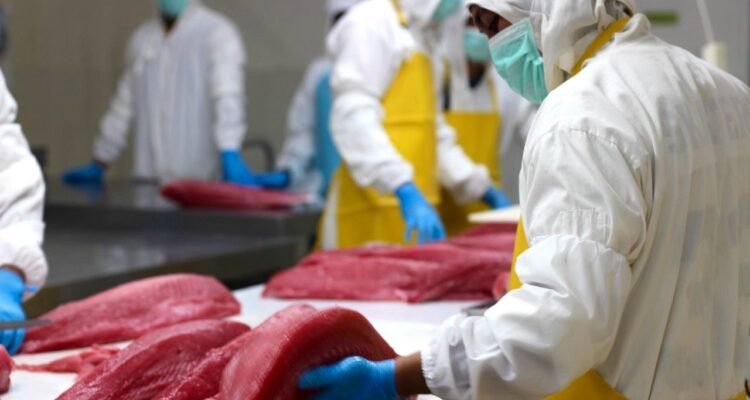 FOTO 19 Sept_Pengolahan ikan tuna. (dok. kkp)