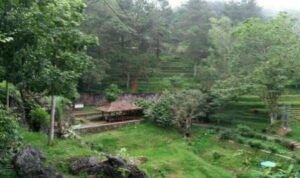 FOTO 26 Jan_Desa Tugu Selatan yang terletak di tengah kawasan wisata Puncak, Bogor, Jawa Barat.kemenpar