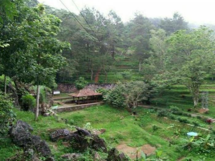 FOTO 26 Jan_Desa Tugu Selatan yang terletak di tengah kawasan wisata Puncak, Bogor, Jawa Barat.kemenpar