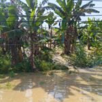 FOTO 16 Febr_Tanggul tidak mampu menampung debit air di Dusun Mlati, Desa Manggarmas, Kecamatan Godong, Kabupaten Grobogan, Jawa Tengah