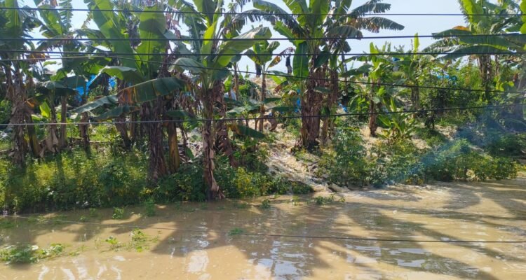 FOTO 16 Febr_Tanggul tidak mampu menampung debit air di Dusun Mlati, Desa Manggarmas, Kecamatan Godong, Kabupaten Grobogan, Jawa Tengah