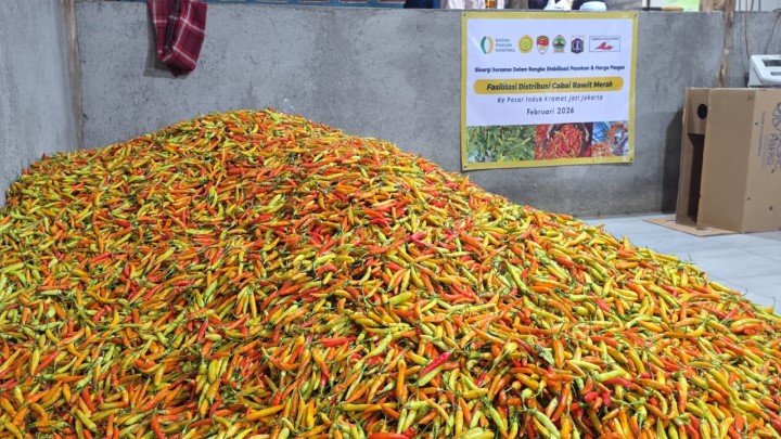 FOTO 20 Febr_Pasokan komoditas cabai siap distribusi. (dok. pertanian.go.id)