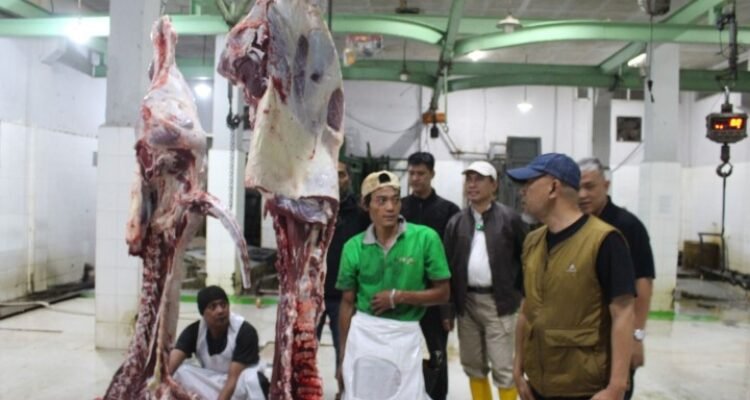 FOTO 24 Febr_Aktivitas pedagang daging sapi di pasar. (dok. kementan)