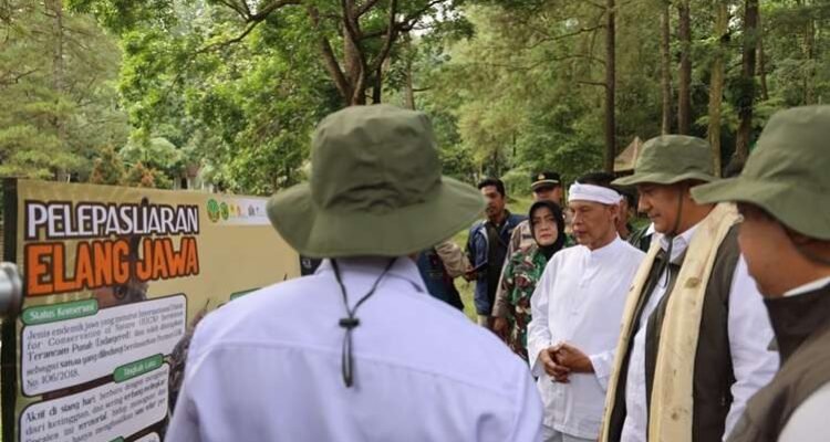 FOTO 28 Febr_Peringatan hari jadi ke-34 Taman Nasional Gunung Halimun Salak (TNGHS) di Bumi Perkemahan Sukamantri, Kabupaten Bogor. dok. jabarprov