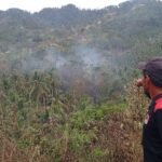 FOTO 1 Maret_Lokasi terdampak karhutla di Desa Lobu Mandiri, Kecamatan Parigi Barat, Kabupaten Parigi Moutong, Provinsi Sulawesi Tengah. bpbd