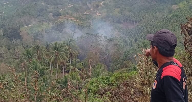FOTO 1 Maret_Lokasi terdampak karhutla di Desa Lobu Mandiri, Kecamatan Parigi Barat, Kabupaten Parigi Moutong, Provinsi Sulawesi Tengah. bpbd