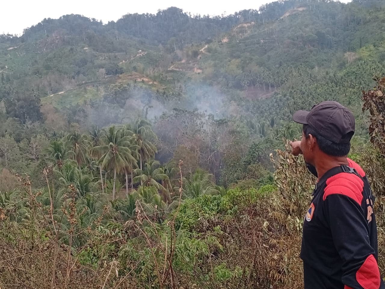 FOTO 1 Maret_Lokasi terdampak karhutla di Desa Lobu Mandiri, Kecamatan Parigi Barat, Kabupaten Parigi Moutong, Provinsi Sulawesi Tengah. bpbd