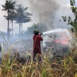 FOTO 11 Maret_Kondisi karhutla yang melanda area lahan di Kabupaten Bintan, Provinsi Kepulauan Riau. (dok. bpbdkabupatenbintan)