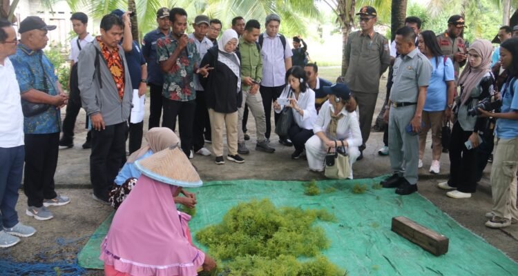 FOTO 23 Maret_Implementasi seaBLUE Project. dok. kkp