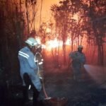 FOTO 26 Maret_Proses pemadaman api oleh petugas gabungan di Provinsi Kepulauan Riau. (dok. bpbdkepulauanriau)