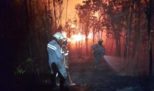 FOTO 26 Maret_Proses pemadaman api oleh petugas gabungan di Provinsi Kepulauan Riau. (dok. bpbdkepulauanriau)