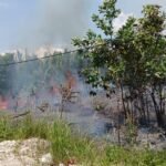FOTO 29 Maret_Kondisi kebakaran hutan dan lahan (karhutla) di Desa Tanjung Limau, Kec Muara Badah, Kab Kutai Kartanegara, Prov Kalimantan Timur