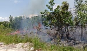 FOTO 29 Maret_Kondisi kebakaran hutan dan lahan (karhutla) di Desa Tanjung Limau, Kec Muara Badah, Kab Kutai Kartanegara, Prov Kalimantan Timur