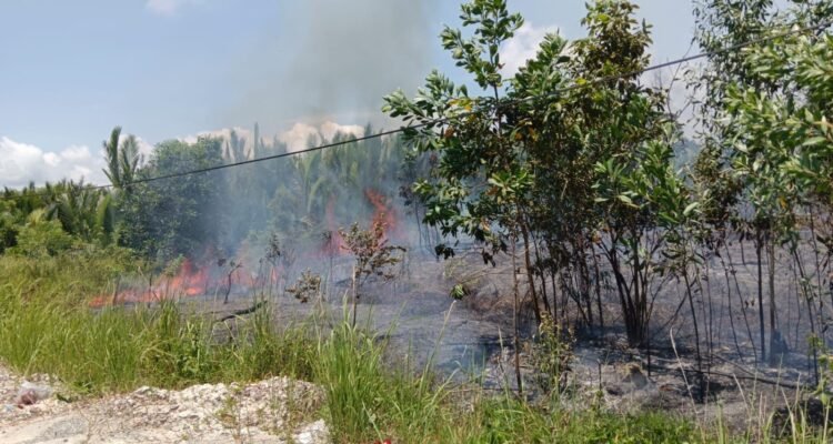 FOTO 29 Maret_Kondisi kebakaran hutan dan lahan (karhutla) di Desa Tanjung Limau, Kec Muara Badah, Kab Kutai Kartanegara, Prov Kalimantan Timur