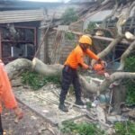 FOTO 3 Maret_BPBD Kabupaten Lampung Selatan bersama warga membersihkan material pohon tumbang pascaangin kencang di Kabupaten Lampung Selatan, Provinsi Lampung.