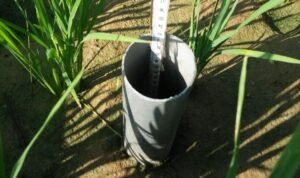 FOTO 30 Maret_Penerapan pengelolaan air sawah yang lebih hemat melalui metode Alternate Wetting and Drying (AWD). dok