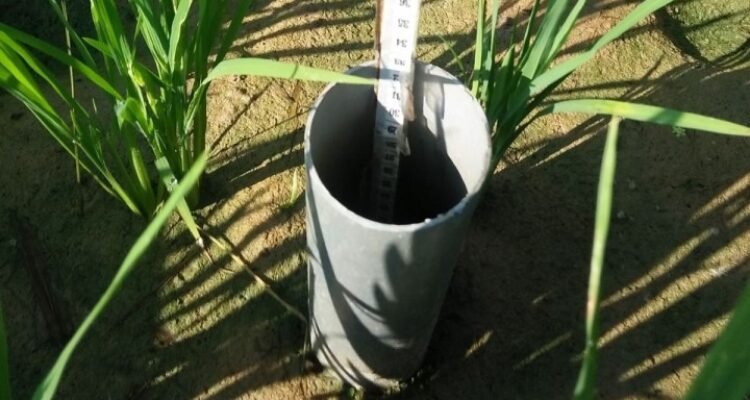 FOTO 30 Maret_Penerapan pengelolaan air sawah yang lebih hemat melalui metode Alternate Wetting and Drying (AWD). dok