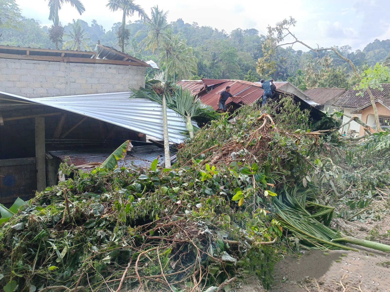 FOTO 30 Maret_Wilayah terdampak tanah longsor di Desa Simpang Sender Utara, Kec Buay Pematang Ribu Ranau Tengah, Kab Ogan Komering Ulu Selatan, Sumatra Selatan