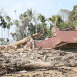 FOTO 4 Maret_Kayu - kayu hanyutan pascabencana di Sumatra. dok. kemendagri