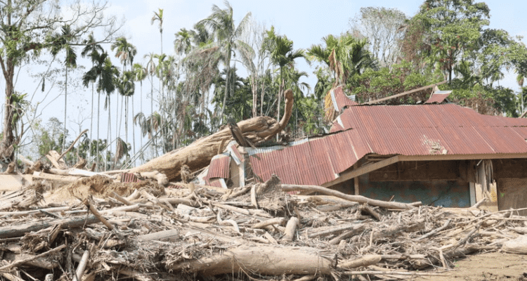FOTO 4 Maret_Kayu - kayu hanyutan pascabencana di Sumatra. dok. kemendagri
