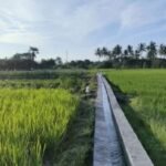 FOTO 6 Maret_Kawasan irigasi di persawahan. (dok. pu.go.id