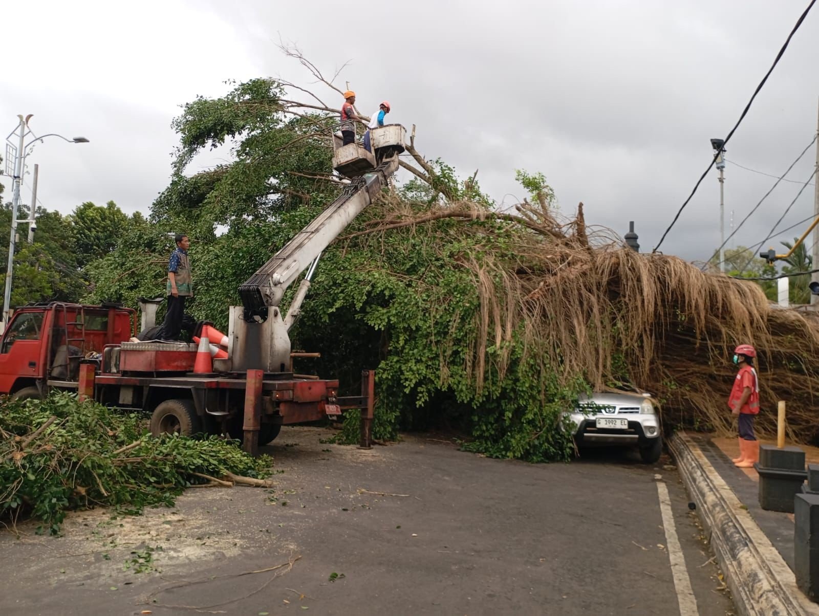FOTO 8 Maret_Tim gabungan menangani dampak bencana hidrometeorologi pohon tumbang di Kabupaten Batang, Jawa Tengah. bpbd
