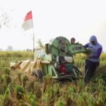 FOTO 1 April_Warga tengah panen padi. dok. badanpangan.go.id