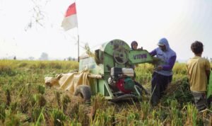 FOTO 1 April_Warga tengah panen padi. dok. badanpangan.go.id