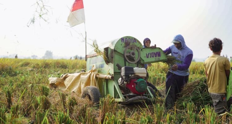 FOTO 1 April_Warga tengah panen padi. dok. badanpangan.go.id