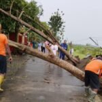 FOTO 12 April_Tim reaksi cepat BPBD Kabupaten Subang lakukan penanganan pascaangin kencang di Kabupaten Subang, Jawa Barat. dok